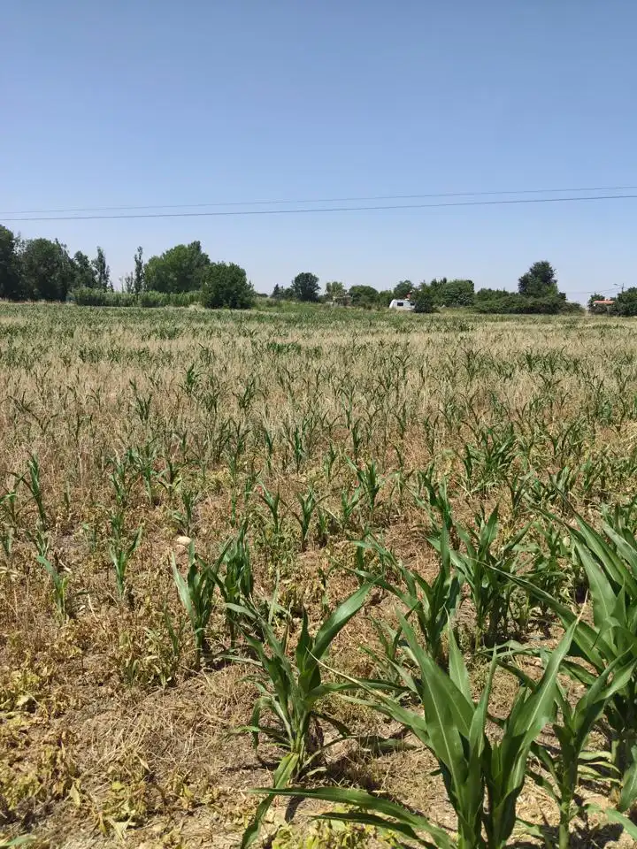 Terreni e lotti in vendita a Camino de Zamoray, imagen 16