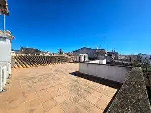 Vista exterior de Apartament de lloguer en Llucmajor