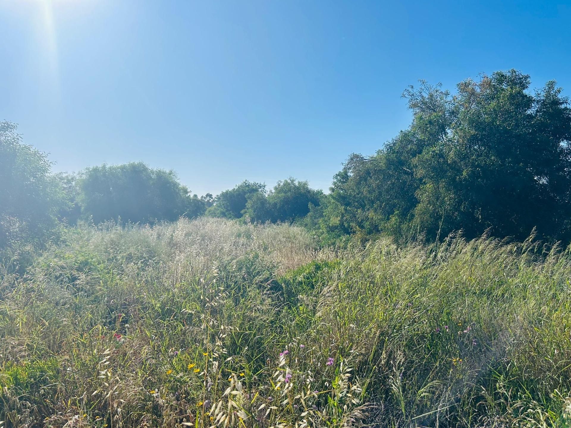 Residential for sale in Chiclana de la Frontera