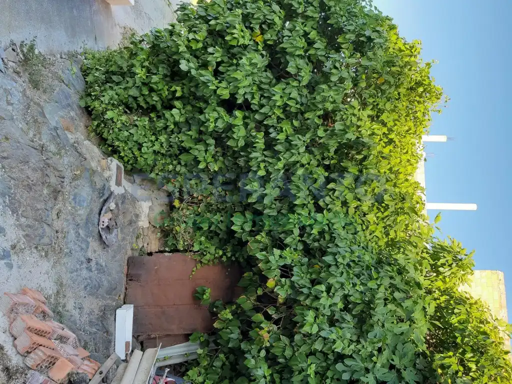 Terreno residencial en venta en Este, imagen 10