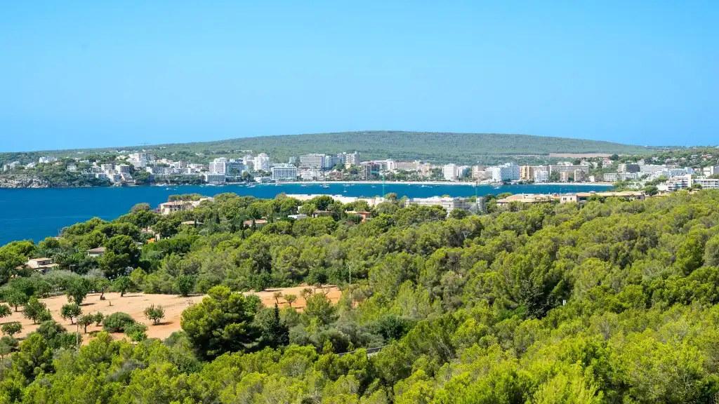 Villa in vendita a Costa d'en Blanes, imagen 7