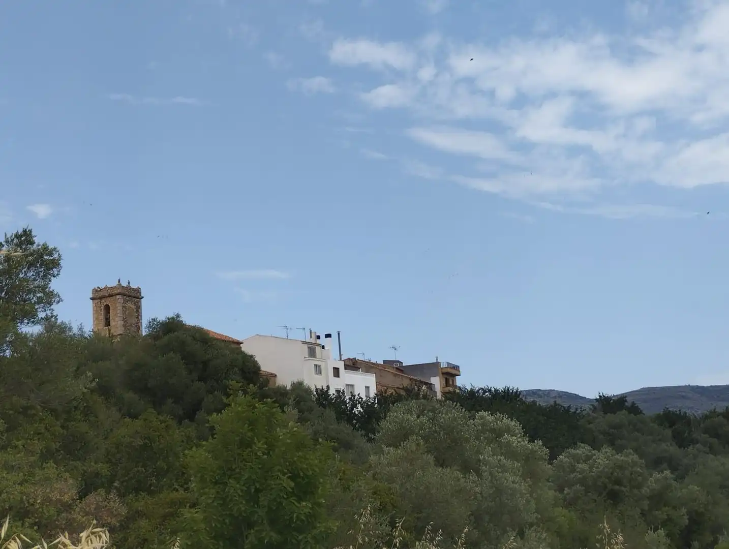 Maison à vendre à La Torre d'en Doménec, imagen 6