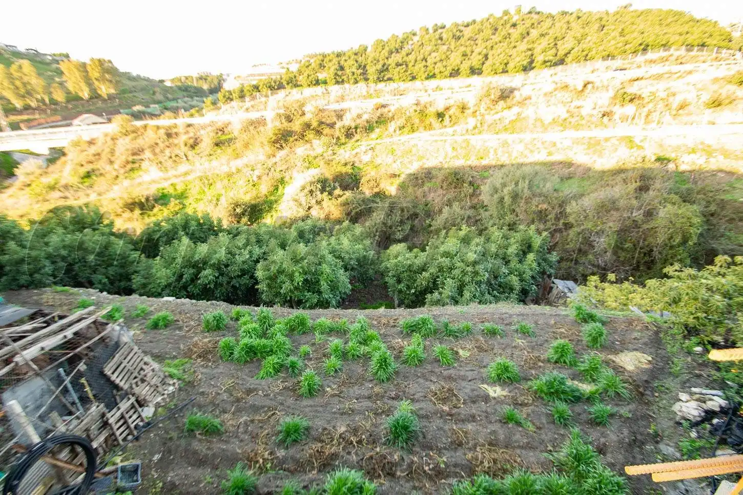 Terreno residenziale in vendita a Torrox Pueblo