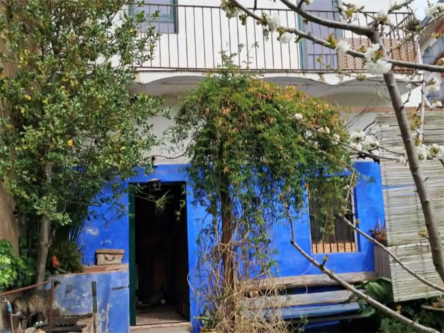 Vista exterior de Piso en venta en Olot con Jardín privado, Parquet y Amueblado