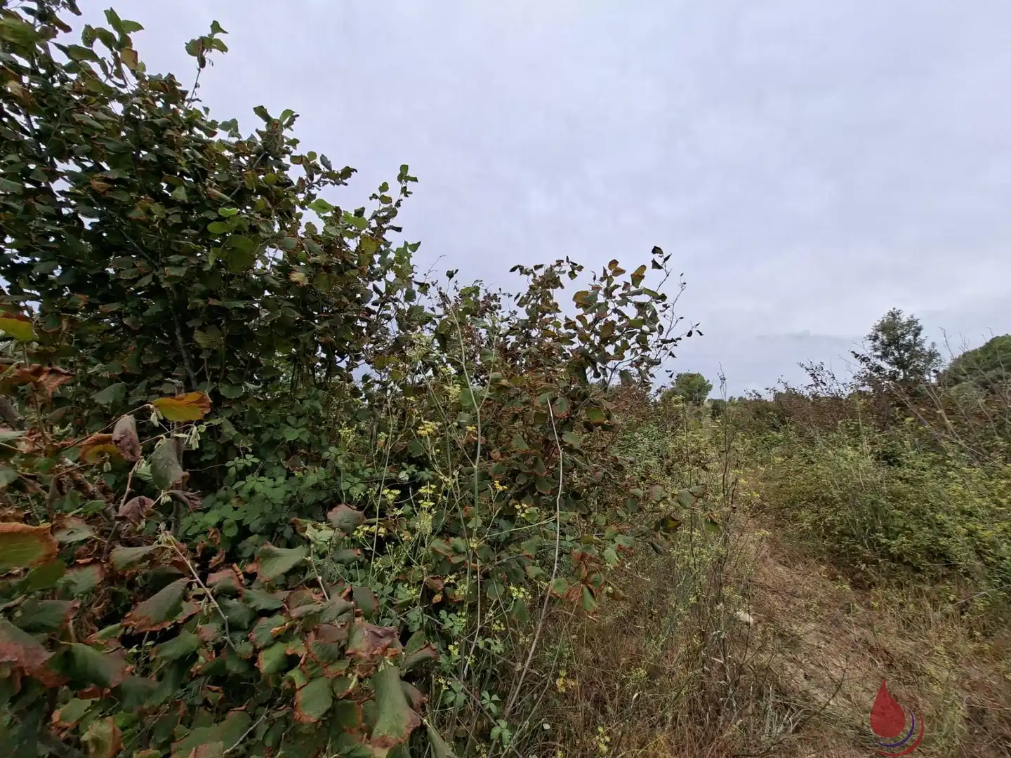 Lands and plots for sale in LES PLANES, imagen 2