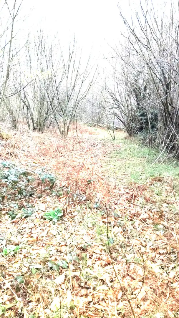 Residential land for sale in Bº LA CABANILLA, imagen 3