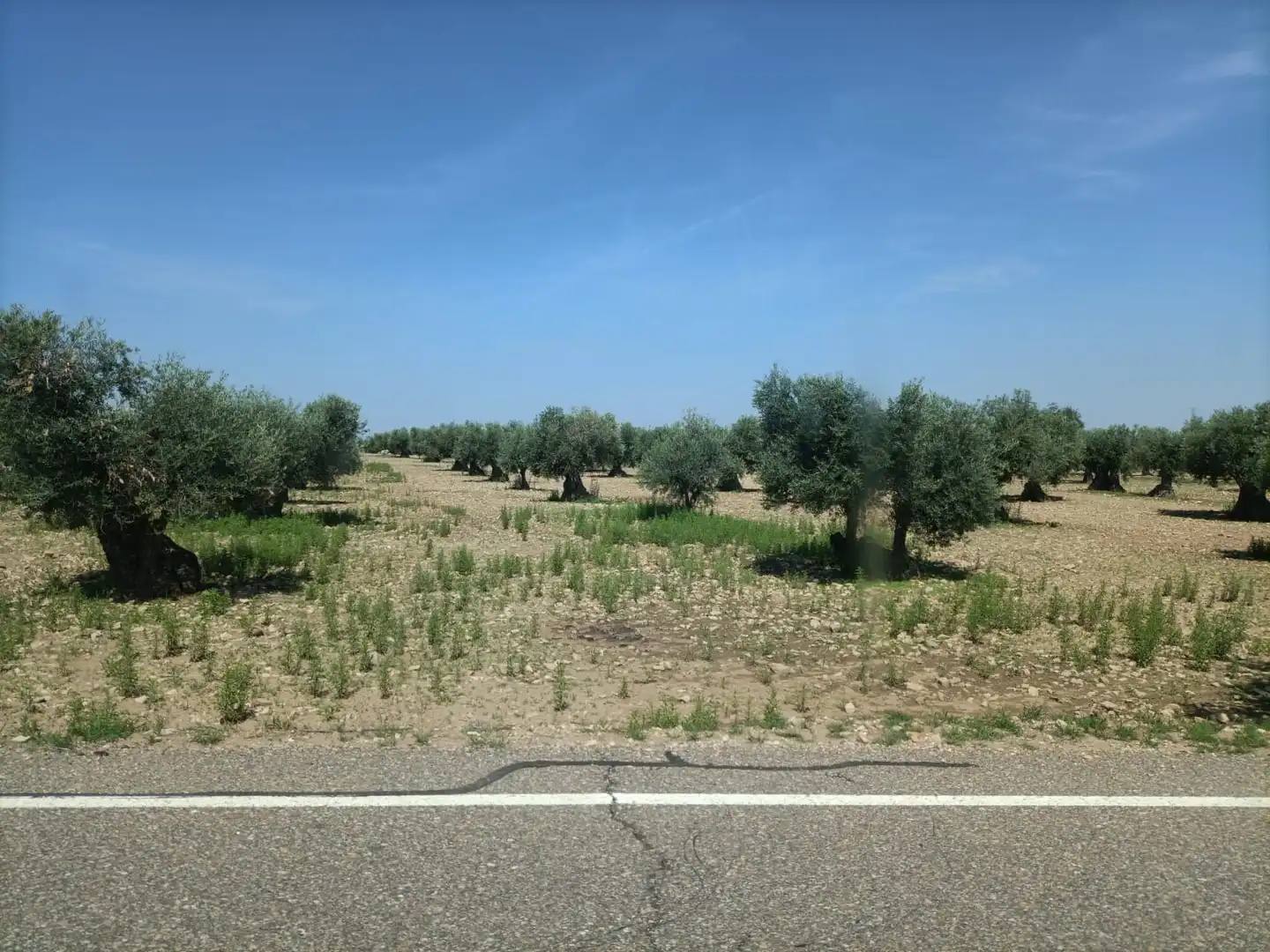 Rural land for sale in Almonacid de Toledo, imagen 4