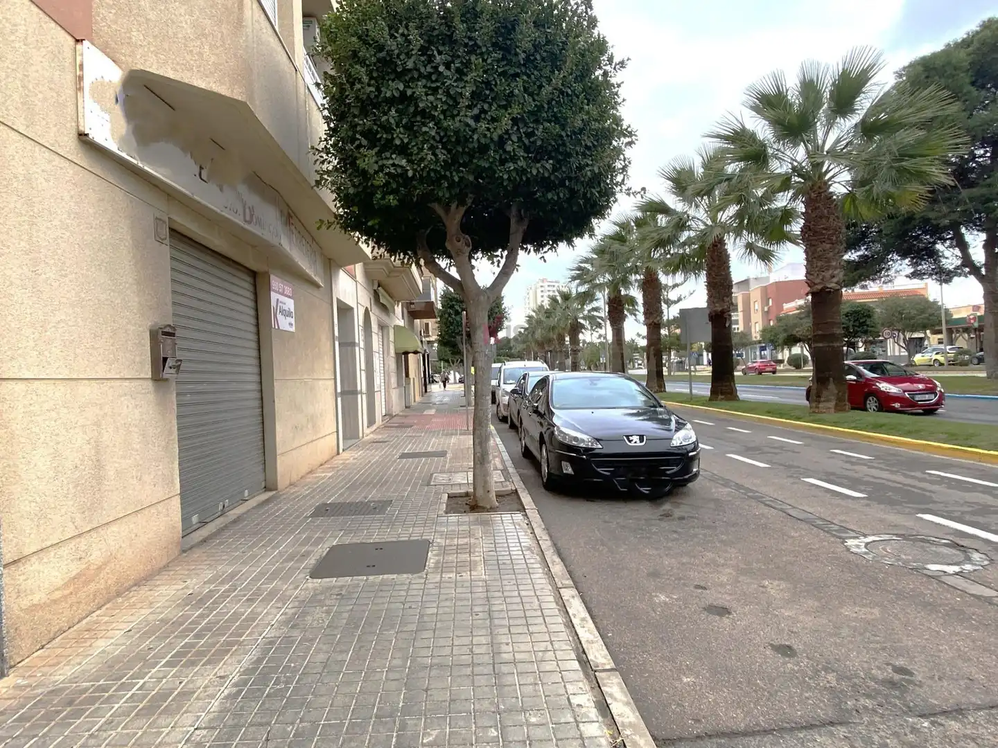 Parking de Local de alquiler en El Ejido