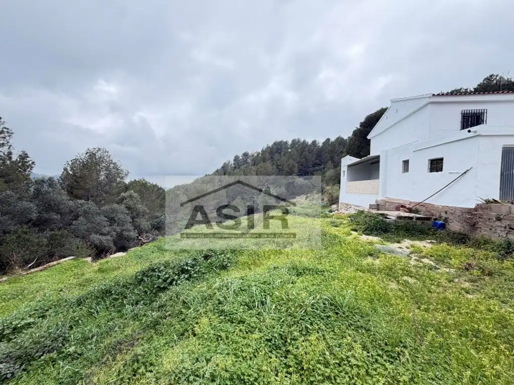 Houses for sale in Alzira