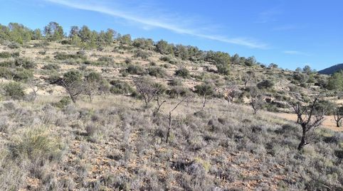 Foto 3 de Terreno en venta en Polígono 57 Parcela 58, Sax, Alicante