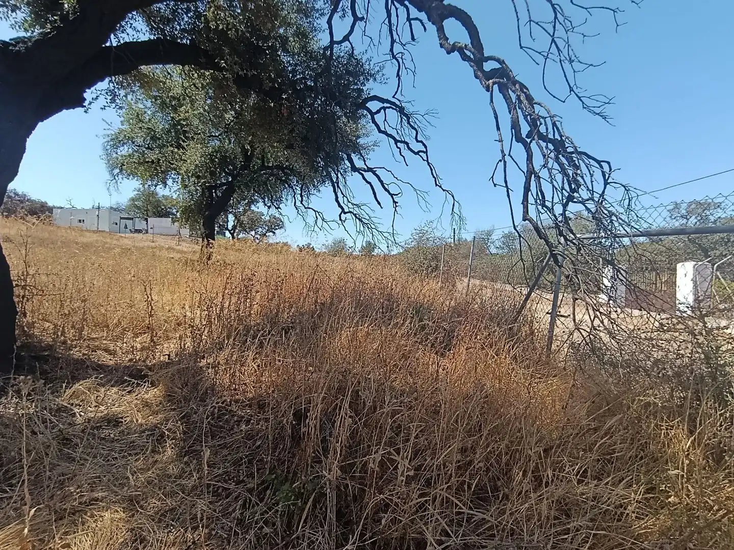 Terreni e lotti in vendita a Castilblanco de los Arroyos, imagen 7