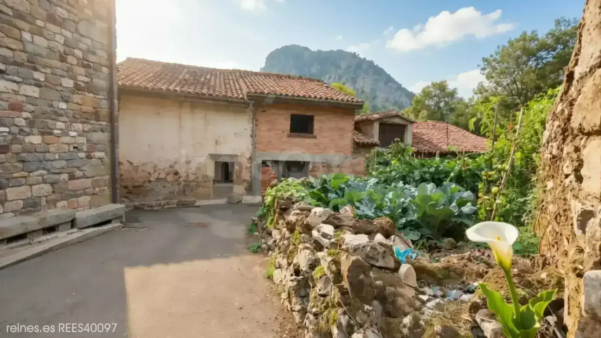 Casa o xalet en venda en Peñamellera Alta amb Calefacció, Jardí privat i Terrassa