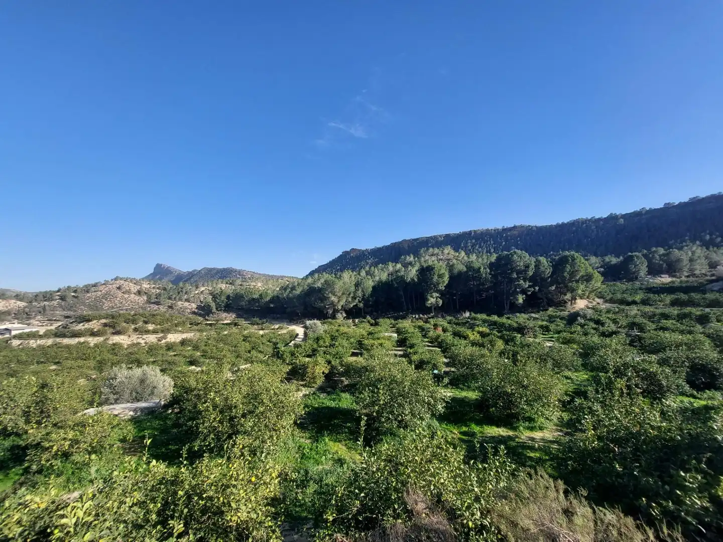 Terrenys i solars en venda a Camino Camino Cañada Umbría, imagen 3
