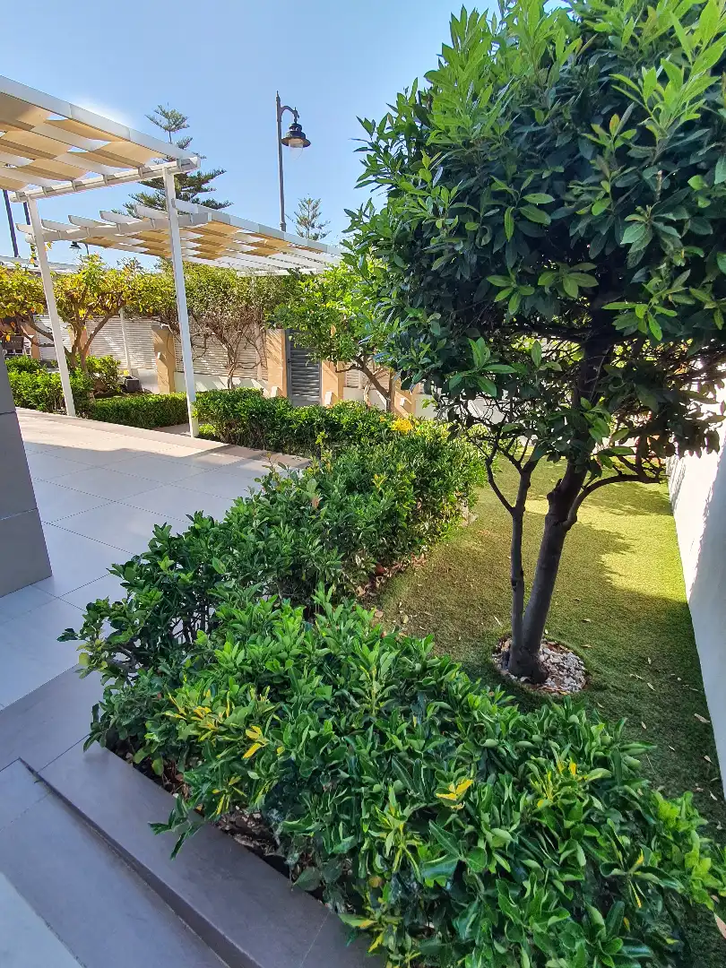 Xalet amb jardí en venda a Calle Maruca, imagen 57
