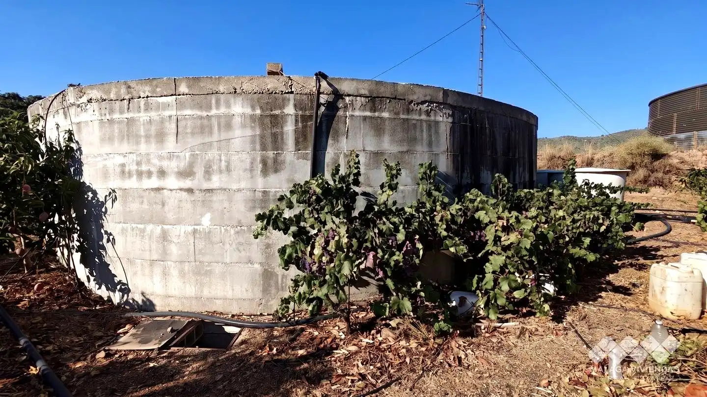 Terreno rústico en venta en Diseminado Atalaya Baja, imagen 5