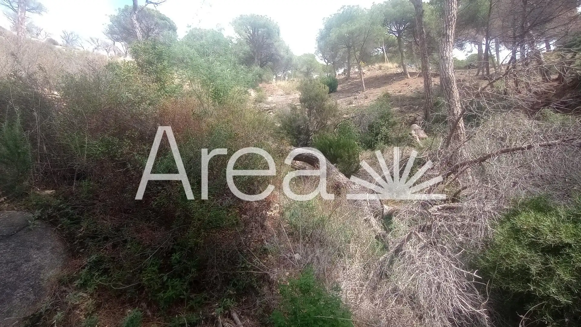 Residential land for sale in ROQUES, imagen 12