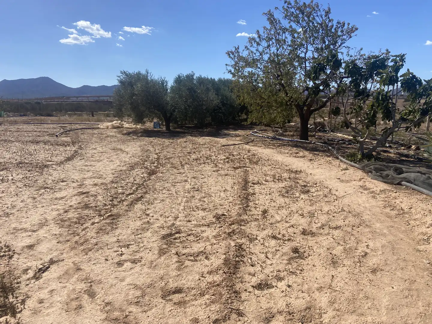 Land for sale in Cartagena