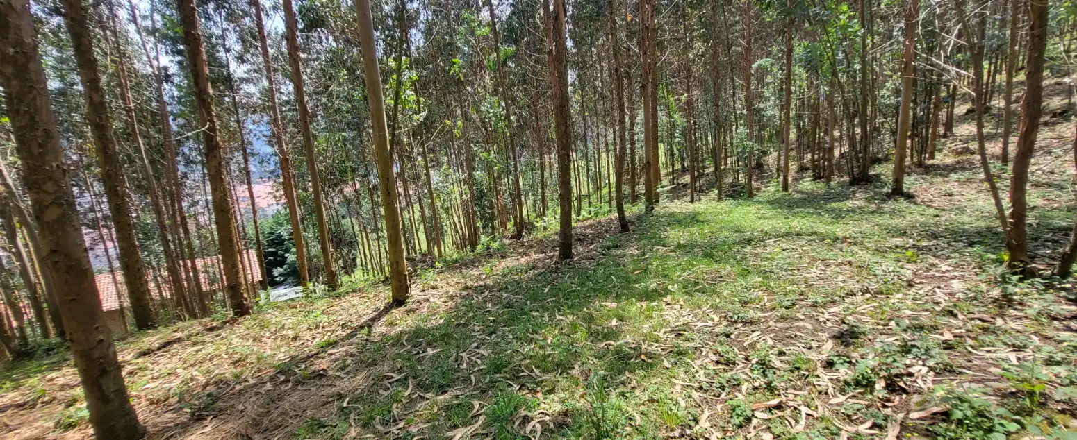Casa o chalet en venta en Los Corrales de Buelna  con Jardín privado