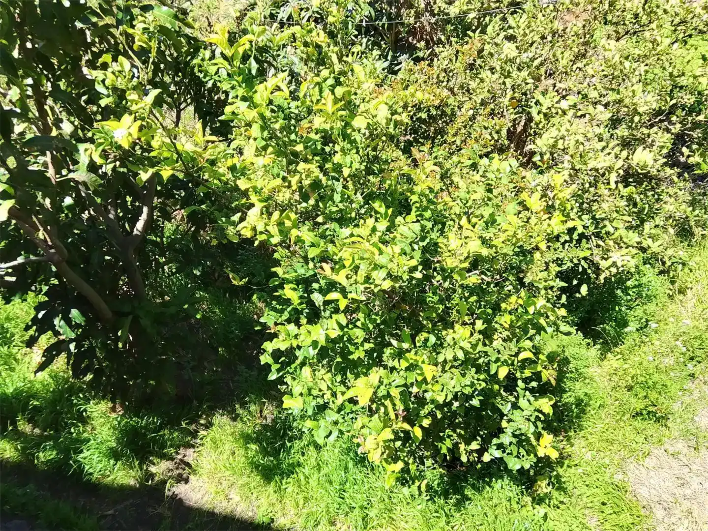 Pis en venda en Valle Gran Rey amb Jardí privat, Moblat i Balcó