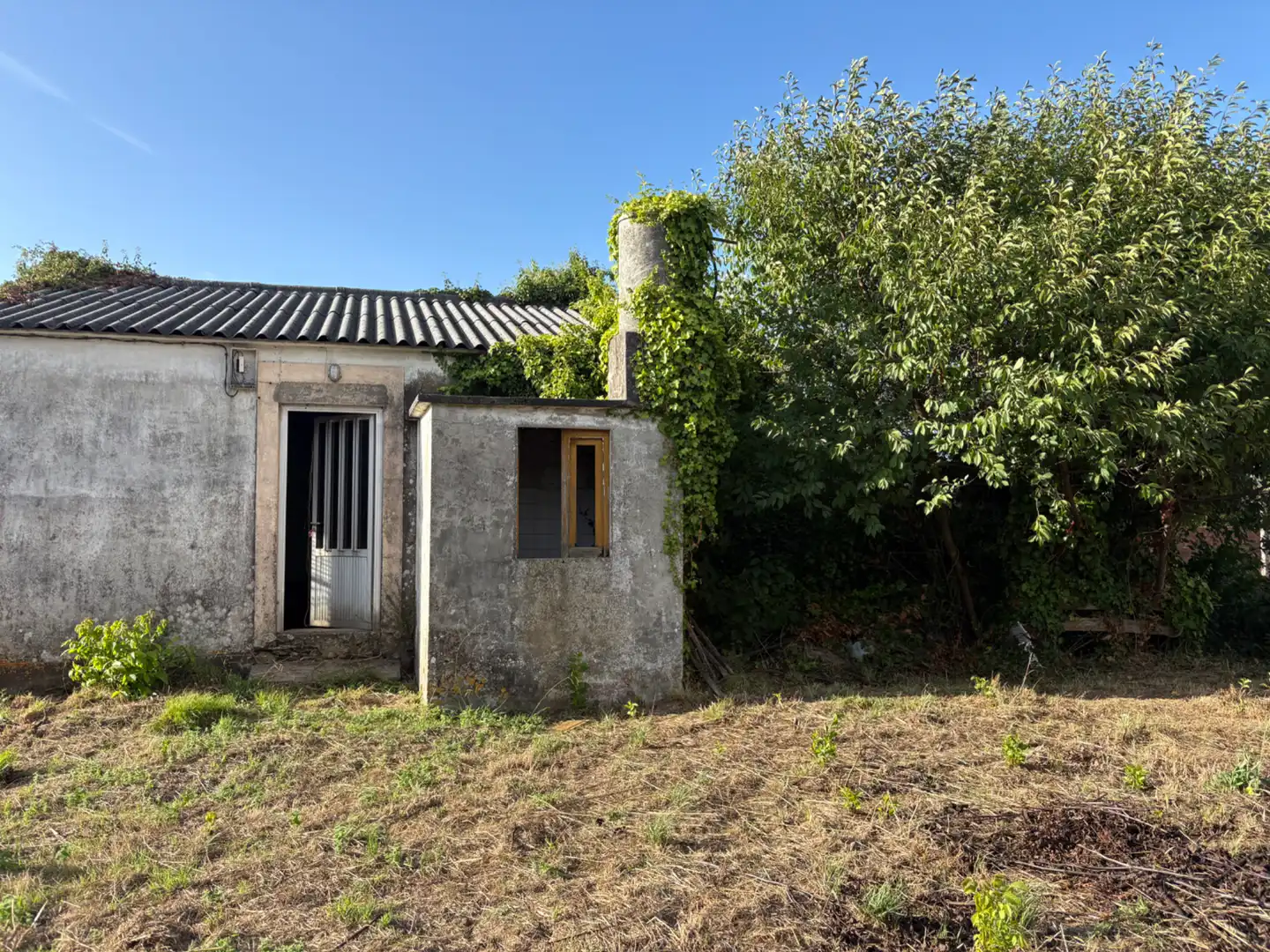 Houses for sale in Fene  with Private garden