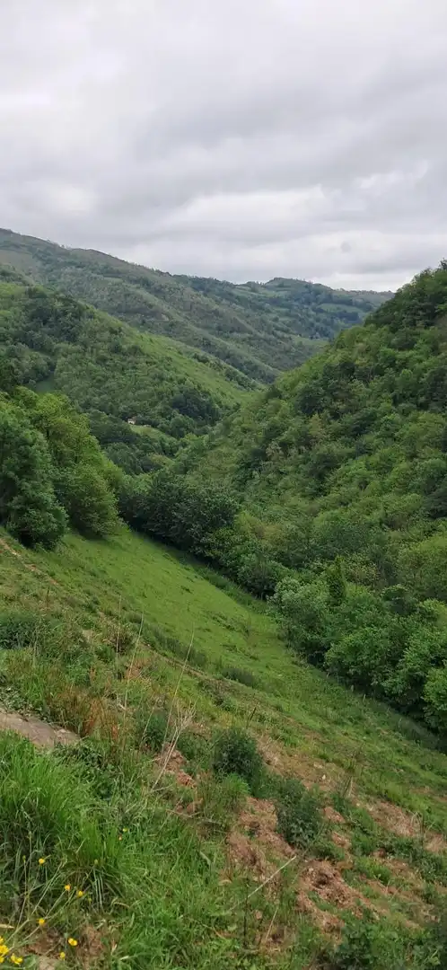 Lands and plots for sale in Lena, imagen 17