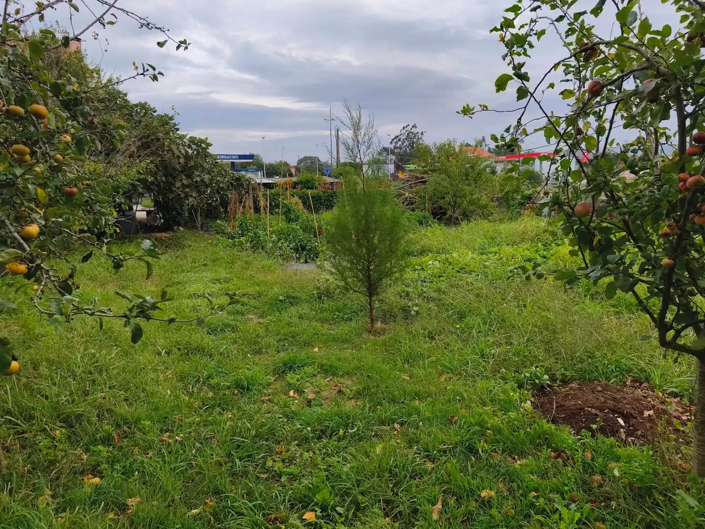 Wohnbaugrundstück zum Verkauf in Avenida Malpica 97, imagen 10