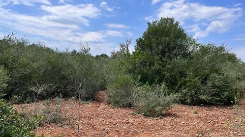 Photo 5 of Country house for sale in Llucmajor pueblo, Illes Balears