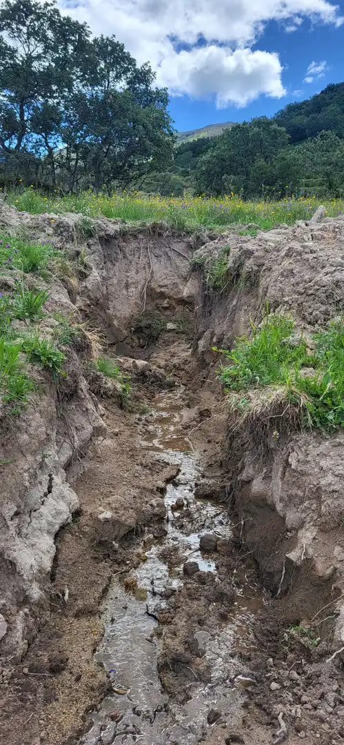 Außenansicht von Grundstücke zum Verkauf in Villar de Plasencia