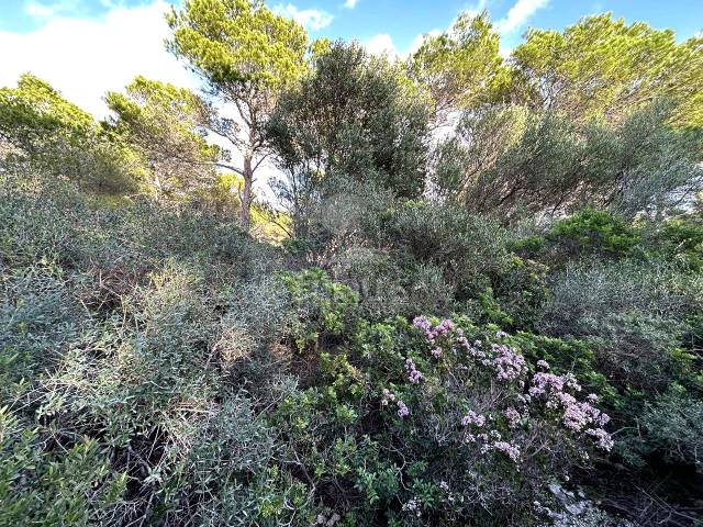Terreno en Venta en Cala Morell