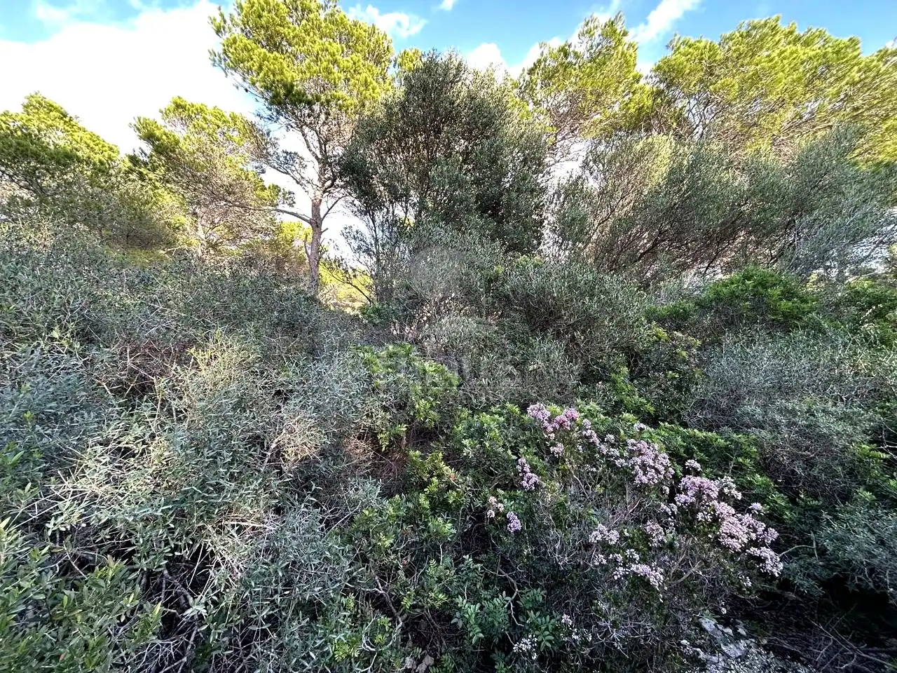 Rural land for sale in Cala Morell