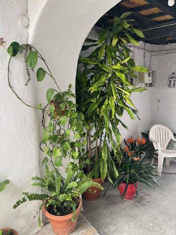 Apartamento en Venta en Vejer