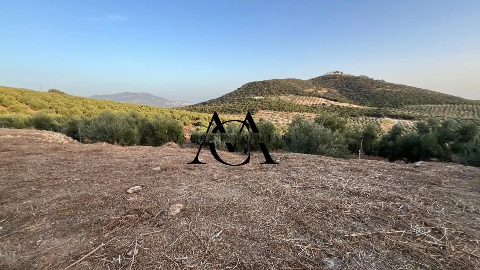 Finca rústica en venta en Lucena