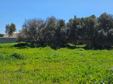 Rustikales Grundstück zum Verkauf in Las Lagunas - Campano