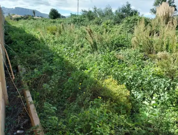 Rural land for sale in Sueca ciudad, imagen 9