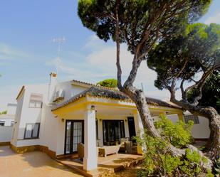 Garden of House or chalet for sale in Chiclana de la Frontera  with Air Conditioner, Terrace and Swimming Pool