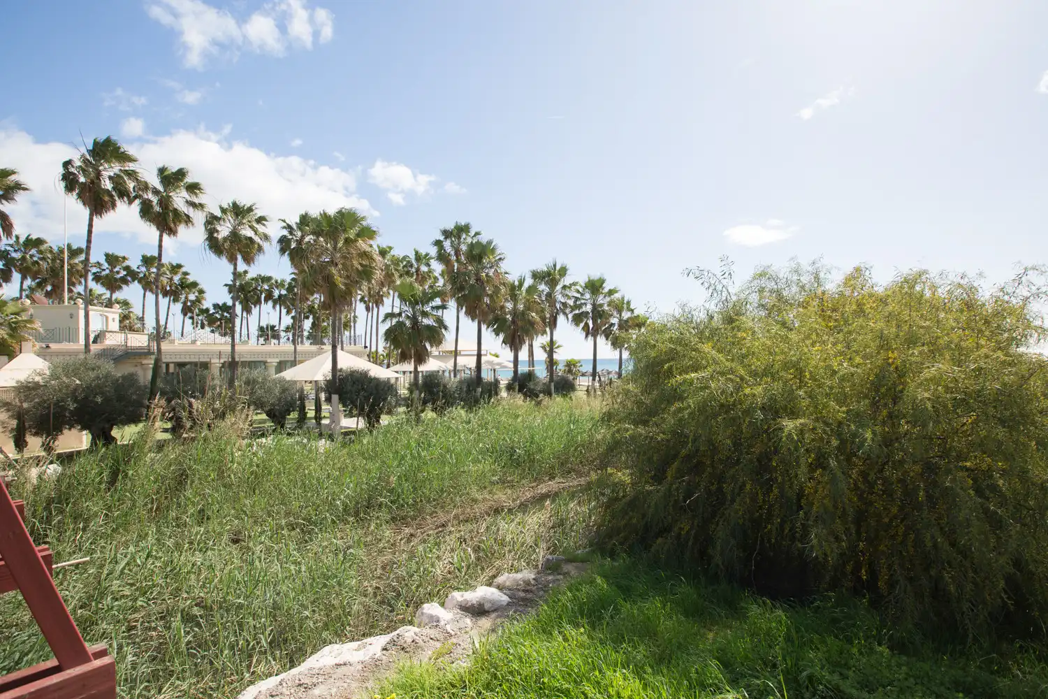 Casa con jardín en venta en Benamara - Atalaya, imagen 17