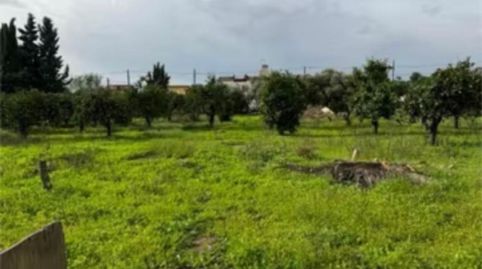 Foto 4 de Finca rústica en venta en C. Ulpiano Blanco, Valdezorras - El Gordillo, Sevilla Capital