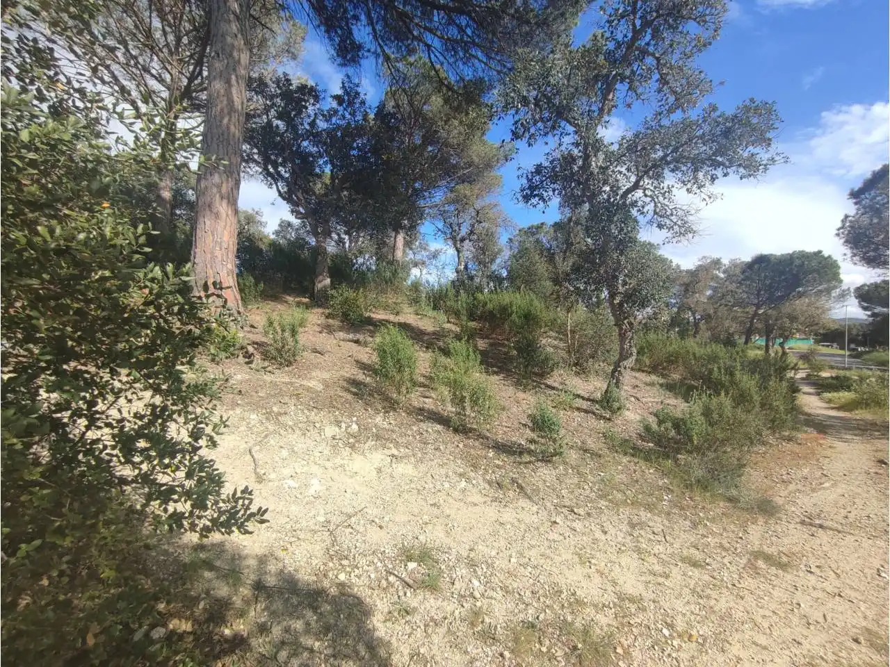 Terreny residencial en venda a Calle Pla de l´Estany, imagen 23