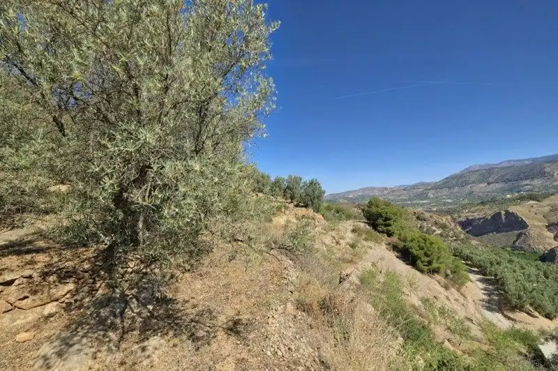 Terreno rustico in vendita a El Pinar, imagen 36
