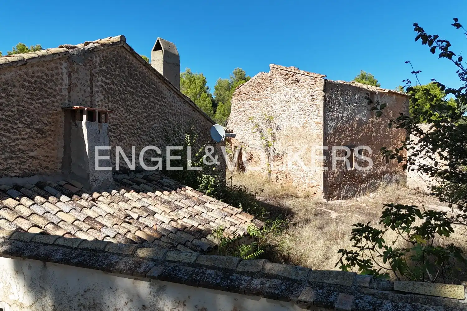 Terrain rustique à vendre à Requena, imagen 17