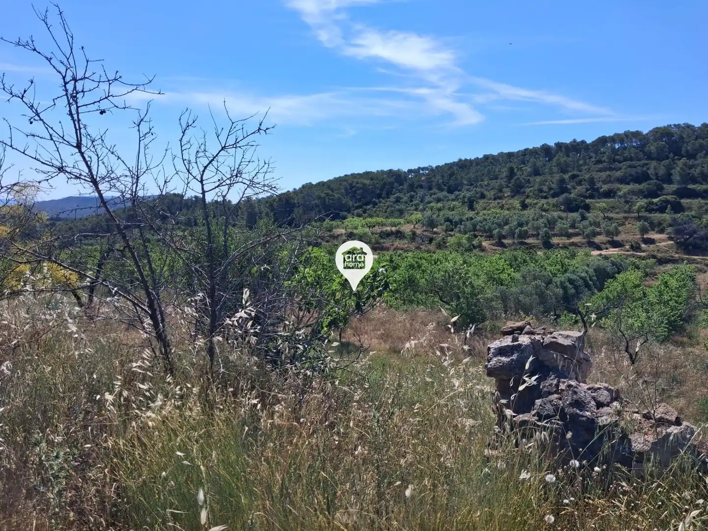 Land for sale in Madrid