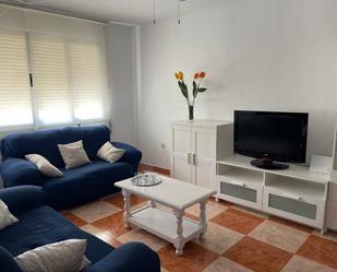 Living room of Flat to rent in Málaga Capital  with Air Conditioner, Furnished and Washing machine