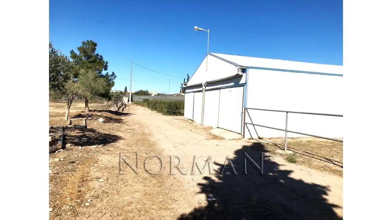 Terreny en venda en Murcia