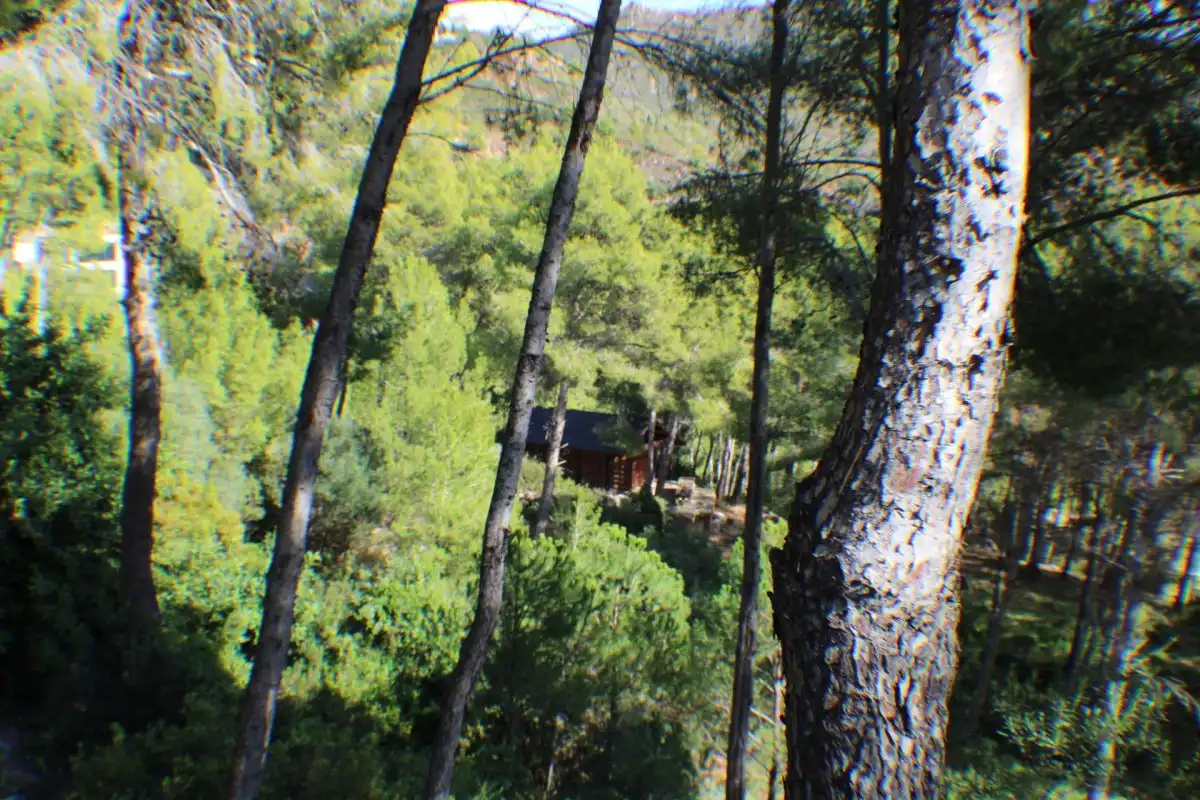 Terreno residencial en venta en Carrer BARRANCO DEL AGUA 32, imagen 11