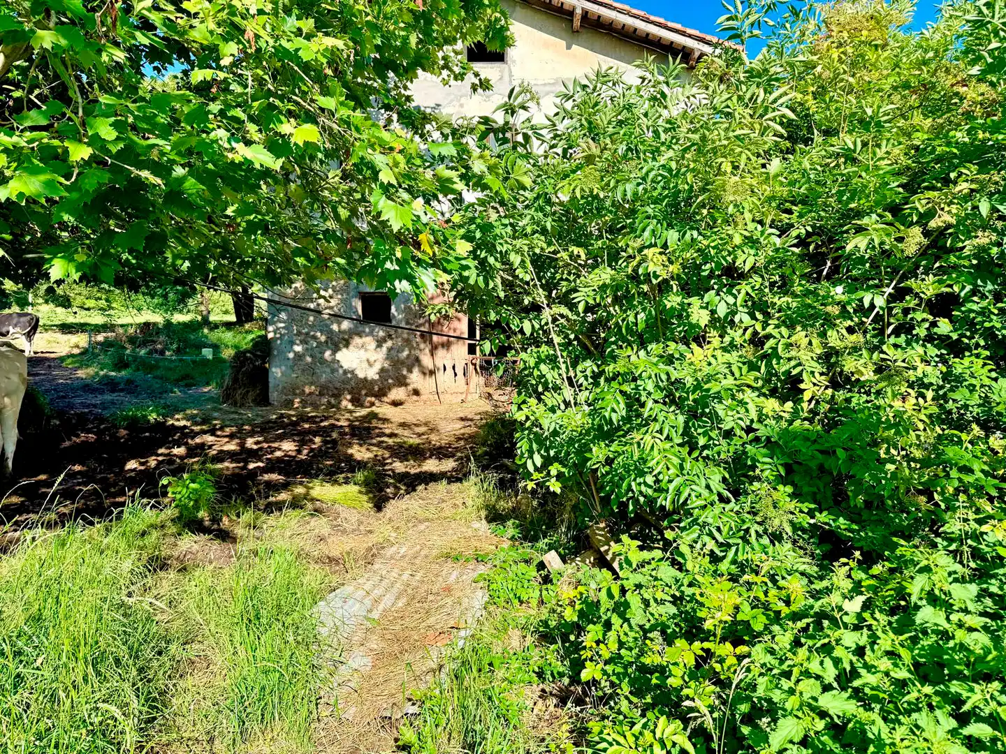 Terreno en venta en Medio Cudeyo
