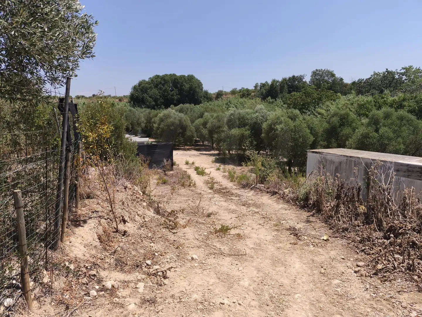 Rustikales Grundstück zum Verkauf in Sant Jaume dels Domenys, imagen 18