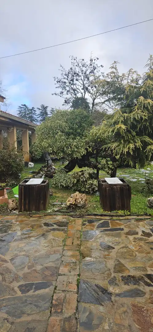 Jardí de Casa o xalet en venda en Villar del Olmo amb Jardí privat i Piscina