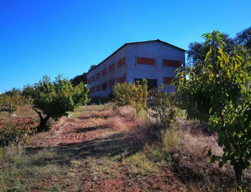Casa rustica in vendita a N/A, imagen 31