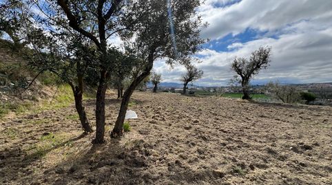 Foto 3 de Residencial en venta en Camino Suelo Urb S-5, Ayuntamiento, Alhendín