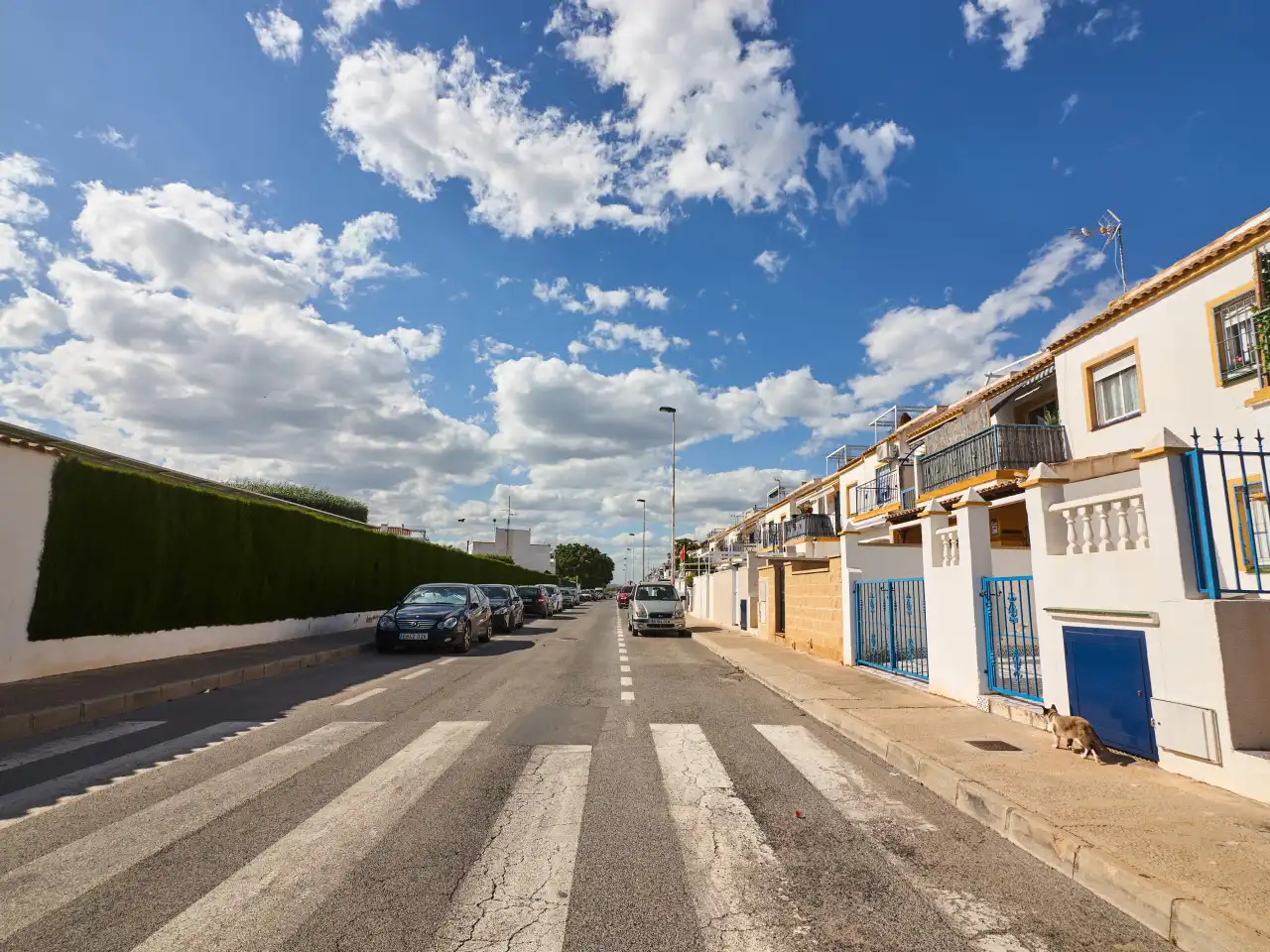 Vista exterior de Casa o xalet en venda en Torrevieja amb Aire condicionat, Calefacció i Terrassa